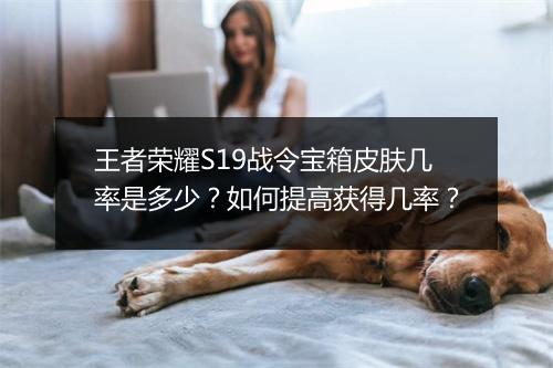 王者荣耀S19战令宝箱皮肤几率是多少？如何提高获得几率？