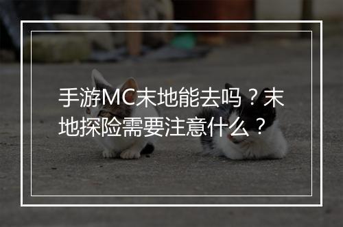 手游MC末地能去吗？末地探险需要注意什么？