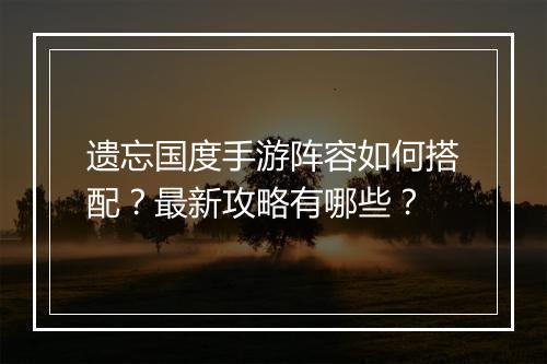 遗忘国度手游阵容如何搭配?最新攻略有哪些?