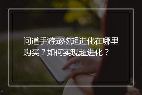 问道手游宠物超进化在哪里购买?如何实现超进化?