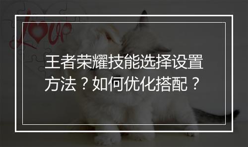王者荣耀技能选择设置方法?如何优化搭配?