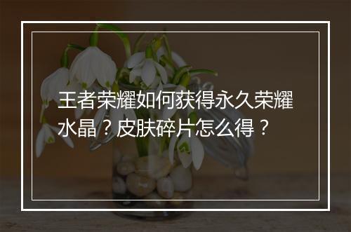 王者荣耀如何获得永久荣耀水晶?皮肤碎片怎么得?