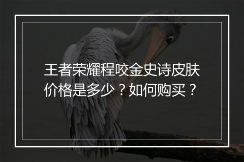 王者荣耀程咬金史诗皮肤价格是多少?如何购买?