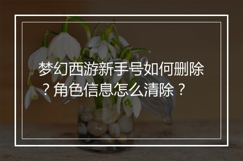 梦幻西游新手号如何删除?角色信息怎么清除?