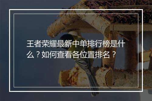 王者荣耀最新中单排行榜是什么?如何查看各位置排名?