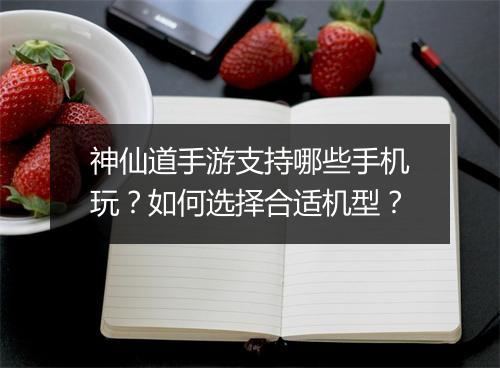 神仙道手游支持哪些手机玩?如何选择合适机型?