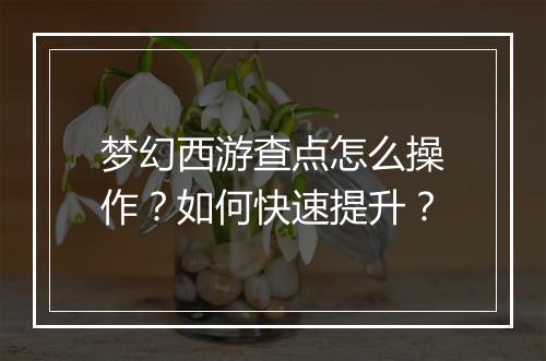 梦幻西游查点怎么操作?如何快速提升?