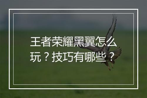 王者荣耀黑翼怎么玩?技巧有哪些?