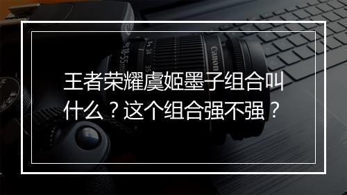 王者荣耀虞姬墨子组合叫什么?这个组合强不强?
