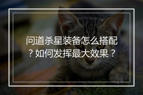 问道杀星装备怎么搭配?如何发挥最大效果?