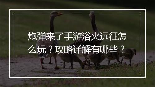 炮弹来了手游浴火远征怎么玩?攻略详解有哪些?