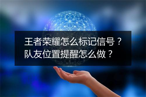 王者荣耀怎么标记信号?队友位置提醒怎么做?