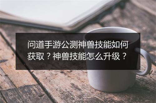 问道手游公测神兽技能如何获取？神兽技能怎么升级？