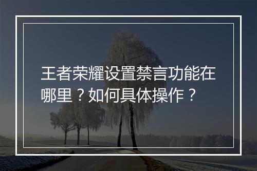 王者荣耀设置禁言功能在哪里?如何具体操作?