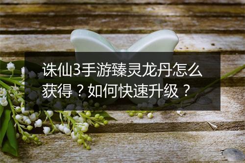 诛仙3手游臻灵龙丹怎么获得?如何快速升级?