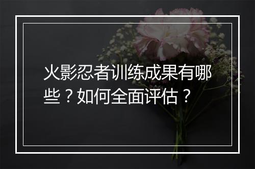 火影忍者训练成果有哪些?如何全面评估?