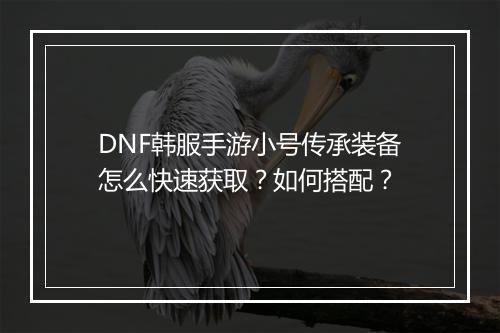 DNF韩服手游小号传承装备怎么快速获取?如何搭配?