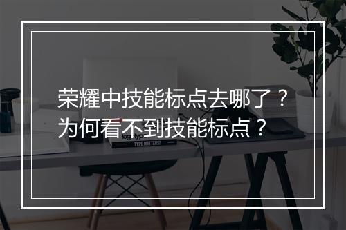 荣耀中技能标点去哪了？为何看不到技能标点？