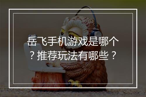 岳飞手机游戏是哪个？推荐玩法有哪些？