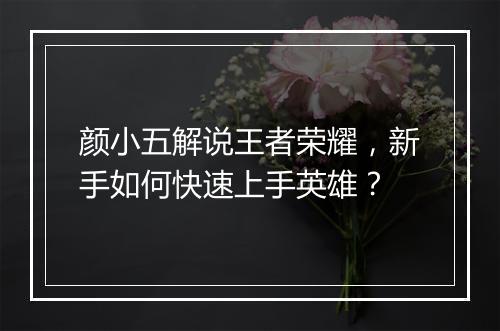 颜小五解说王者荣耀，新手如何快速上手英雄？