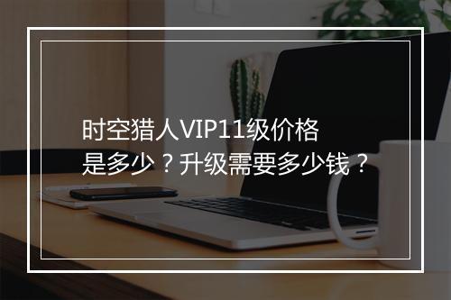 时空猎人VIP11级价格是多少?升级需要多少钱?