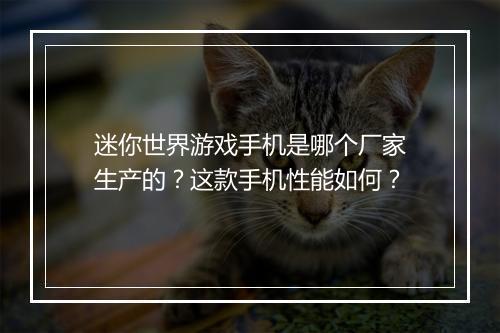 迷你世界游戏手机是哪个厂家生产的?这款手机性能如何?