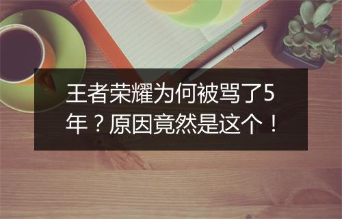 王者荣耀为何被骂了5年？原因竟然是这个！