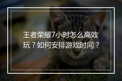 王者荣耀7小时怎么高效玩?如何安排游戏时间?