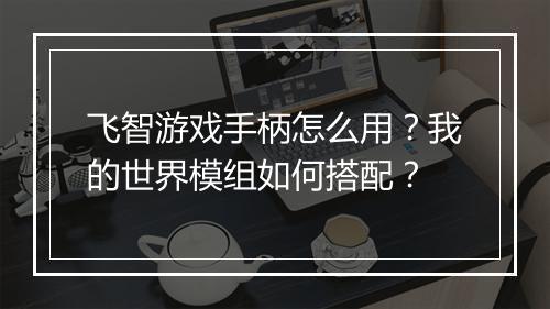 飞智游戏手柄怎么用？我的世界模组如何搭配？