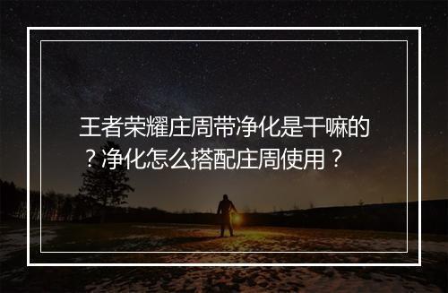 王者荣耀庄周带净化是干嘛的?净化怎么搭配庄周使用?
