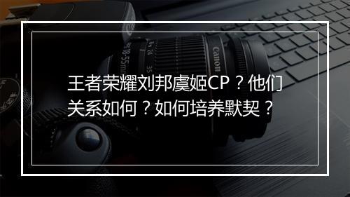 王者荣耀刘邦虞姬CP?他们关系如何?如何培养默契?