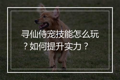 寻仙侍宠技能怎么玩?如何提升实力?