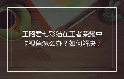 王昭君七彩猫在王者荣耀中卡视角怎么办?如何解决?