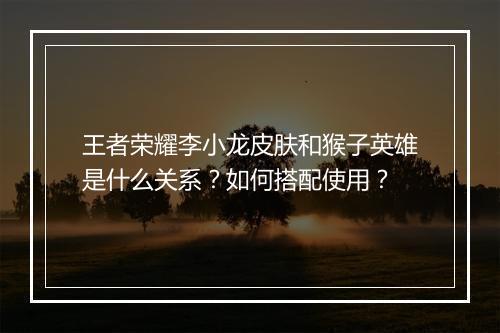 王者荣耀李小龙皮肤和猴子英雄是什么关系?如何搭配使用?
