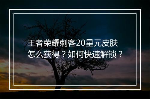 王者荣耀刺客20星元皮肤怎么获得?如何快速解锁?