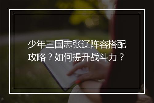 少年三国志张辽阵容搭配攻略?如何提升战斗力?