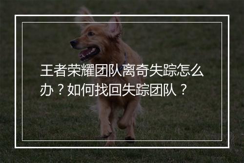王者荣耀团队离奇失踪怎么办?如何找回失踪团队?