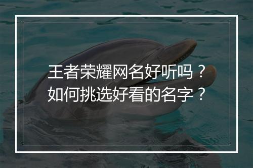王者荣耀网名好听吗?如何挑选好看的名字?