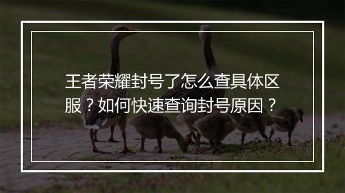 王者荣耀封号了怎么查具体区服?如何快速查询封号原因?