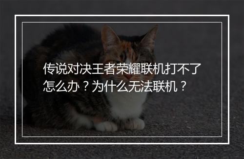 传说对决王者荣耀联机打不了怎么办?为什么无法联机?