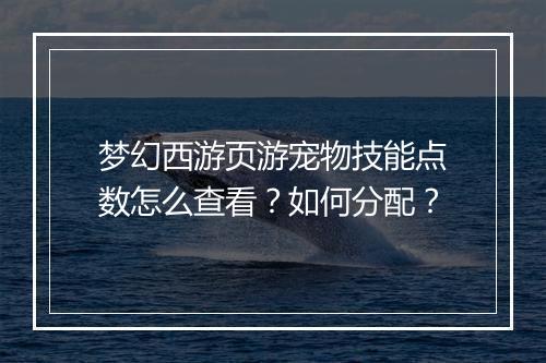梦幻西游页游宠物技能点数怎么查看?如何分配?