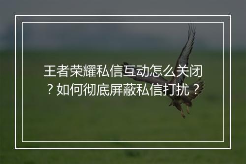 王者荣耀私信互动怎么关闭？如何彻底屏蔽私信打扰？