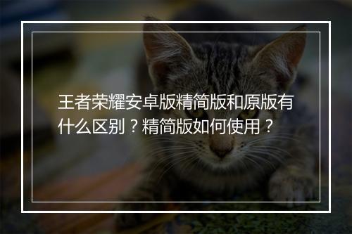 王者荣耀安卓版精简版和原版有什么区别?精简版如何使用?