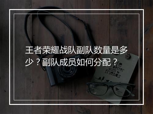 王者荣耀战队副队数量是多少?副队成员如何分配?