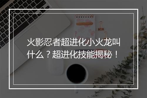 火影忍者超进化小火龙叫什么?超进化技能揭秘!