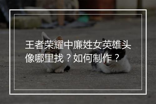 王者荣耀中廉姓女英雄头像哪里找?如何制作?