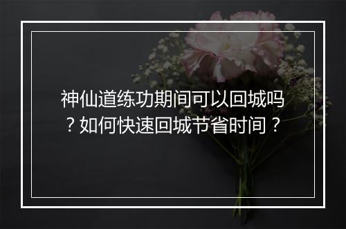 神仙道练功期间可以回城吗？如何快速回城节省时间？