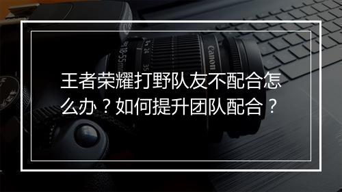 王者荣耀打野队友不配合怎么办?如何提升团队配合?