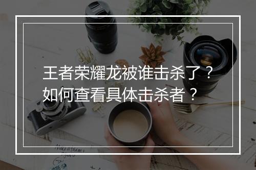 王者荣耀龙被谁击杀了？如何查看具体击杀者？