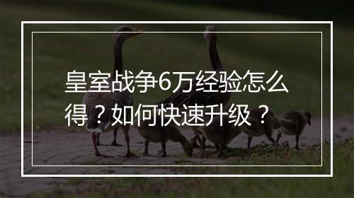 皇室战争6万经验怎么得？如何快速升级？